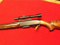 Guns & Hunting Supplies Remington 742 243