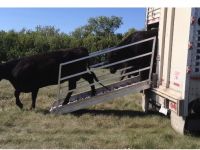 Livestock & Accessories Portable Cattle Liner Loading Chute