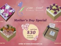 Furnishings and Decorations Mother's Day Fresh Flower Box