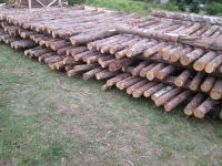 Other 10000-pieces-cedar-fence-posts-8ft