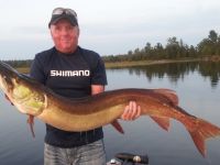 Guns & Hunting Supplies Guided Musky Fishing Trips On Upper Ottawa River