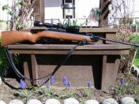 Guns & Hunting Supplies Diana Model 24 Pellet Rifle & Scope