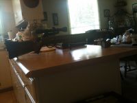 Guns & Hunting Supplies Excalibur 20-200 Crossbow