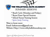 Sports Services Volleyball Elite Academy