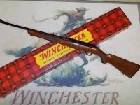 Guns & Hunting Supplies Winchester Model 100