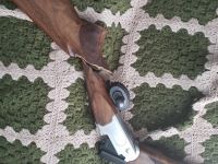 Guns & Hunting Supplies Stevens 555
