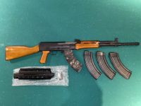 Guns & Hunting Supplies Type 81  Quadrail + 4 Mags